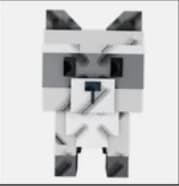 RACCOON GAG 2