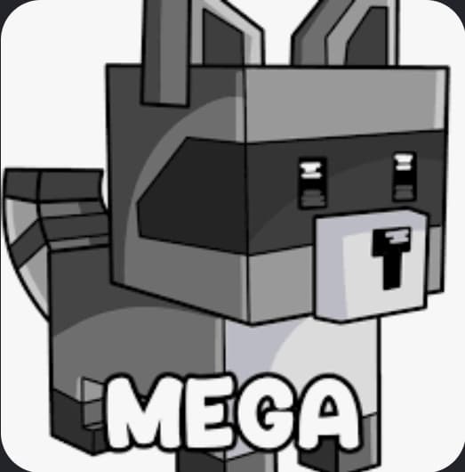 MEGA RACCOON GAG 1