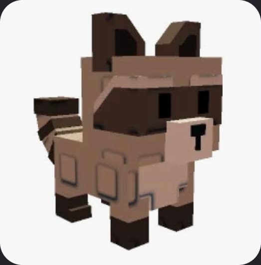 RACCOON